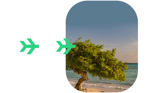 Aruba ed card apply online