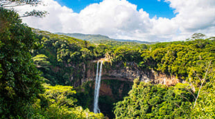 Einreisebestimmungen für das Mauritius All-in-One-Reiseformular