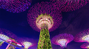 SG Ankunftskarte für Singapur