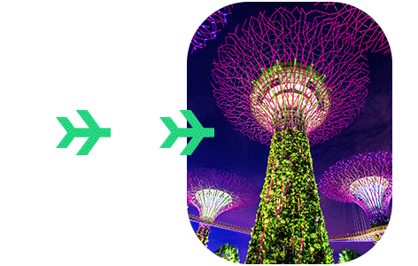 SG Ankunftskarte für Singapur