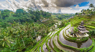 Zollerklarungsformular Indonesien e-CD